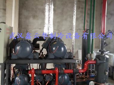 安徽湖北省某水产公司32吨速冻冷库